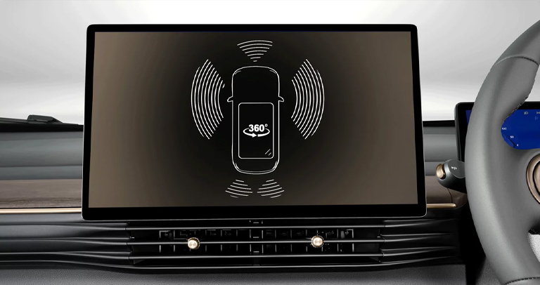 360° Surround View Cameras